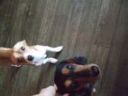 ファイル 430-4.jpg