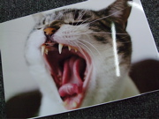 ファイル 437-2.jpg