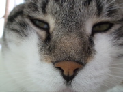 ファイル 442-1.jpg