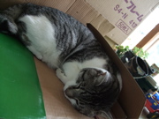 ファイル 447-1.jpg