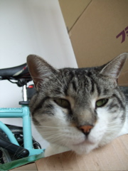 ファイル 447-2.jpg