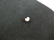 ファイル 455-2.jpg