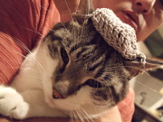 ファイル 463-2.jpg