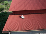 ファイル 466-1.jpg