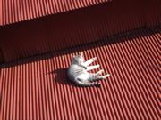 ファイル 466-2.jpg