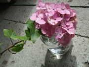 ファイル 467-1.jpg