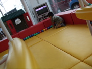 ファイル 471-1.jpg