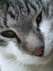 ファイル 475-1.jpg