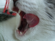 ファイル 475-2.jpg