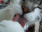 ファイル 475-3.jpg