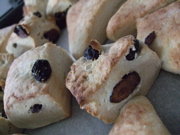 ファイル 476-2.jpg