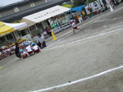 ファイル 484-1.jpg