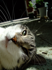 ファイル 487-1.jpg