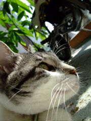 ファイル 487-2.jpg