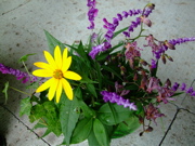 ファイル 492-1.jpg