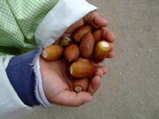 ファイル 495-1.jpg