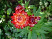 ファイル 510-1.jpg