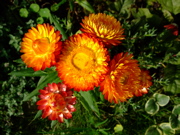 ファイル 510-2.jpg