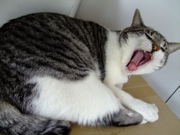 ファイル 511-1.jpg