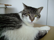 ファイル 511-2.jpg