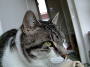 ファイル 522-1.jpg