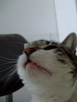 ファイル 522-2.jpg