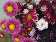 ファイル 523-1.jpg