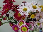 ファイル 523-2.jpg