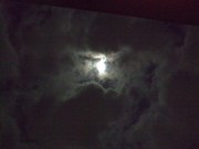 ファイル 526-1.jpg