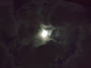 ファイル 526-2.jpg