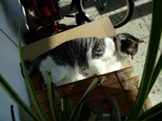 ファイル 533-1.jpg