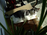 ファイル 533-2.jpg