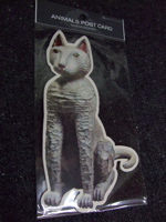 ファイル 549-3.jpg