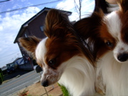 ファイル 554-1.jpg