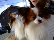 ファイル 554-2.jpg