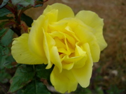 ファイル 555-1.jpg