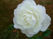 ファイル 555-3.jpg