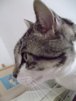 ファイル 562-1.jpg