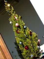 ファイル 563-2.jpg