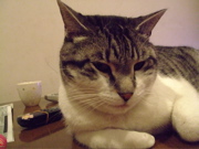 ファイル 572-1.jpg