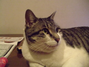 ファイル 572-2.jpg