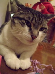 ファイル 583-1.jpg