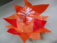 ファイル 584-1.jpg