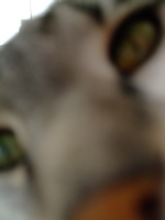 ファイル 585-1.jpg