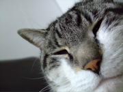 ファイル 587-2.jpg