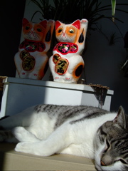 ファイル 588-2.jpg