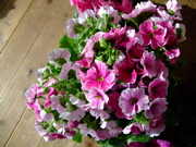 ファイル 601-1.jpg