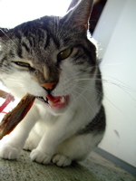 ファイル 602-2.jpg