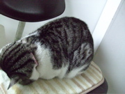 ファイル 607-1.jpg