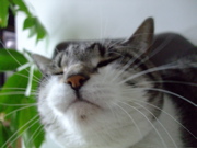 ファイル 607-2.jpg